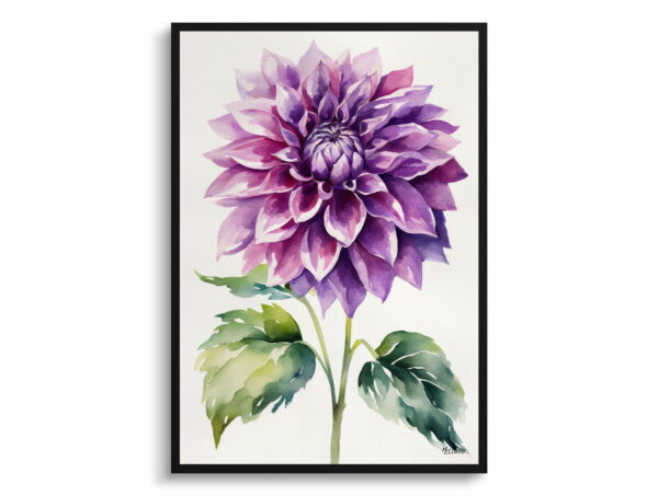 watercolour botanical print flowers purple dahlia minimalist front view 1