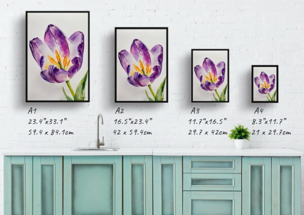 watercolour botanical print flowers purple tulip minimalist print size comparison 1