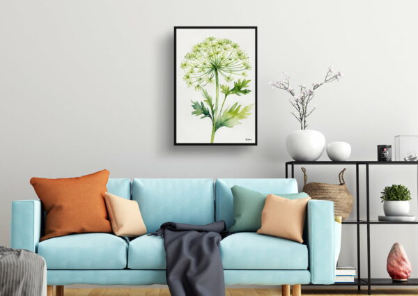 watercolour botanical print flowers queen annes lace minimalist living room 1