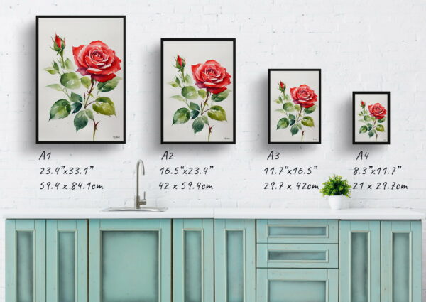 watercolour botanical print flowers red rose minimalist print size comparison 1