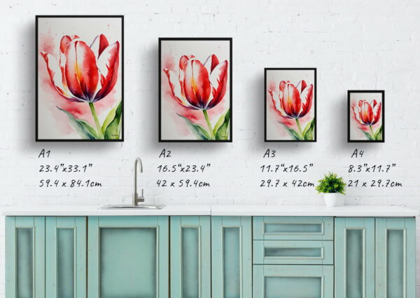 watercolour botanical print flowers red tulip print size comparison 1