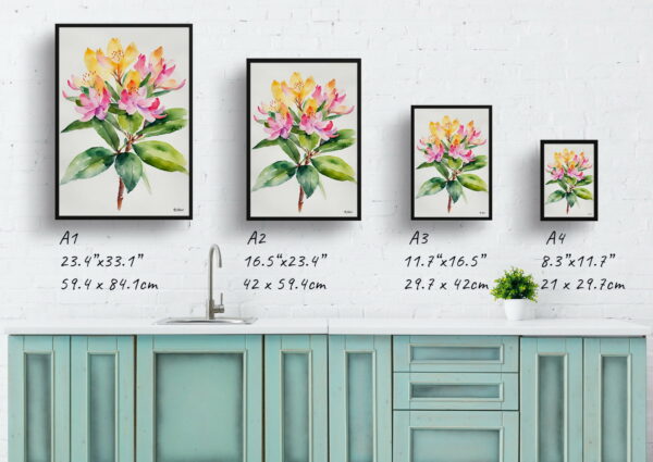 watercolour botanical print flowers rhododendron minimalist print size comparison 1