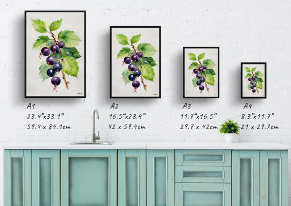 watercolour botanical print flowers ribes nigrum cassissima noiroma minimalist print size comparison 1