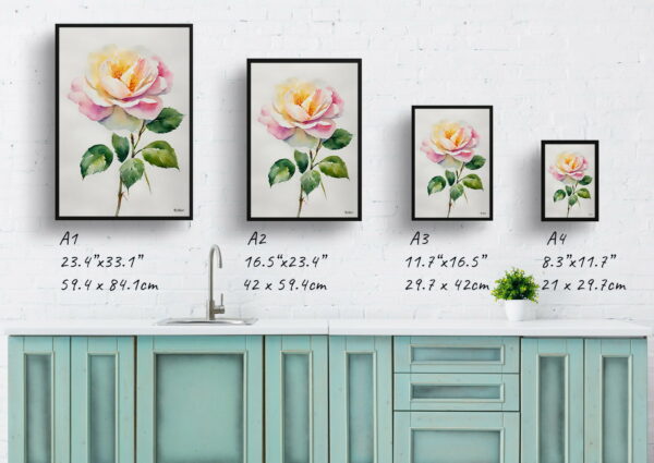 watercolour botanical print flowers rosa madame alfred carriere minimalist print size comparison 1