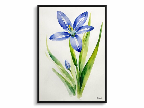 watercolour botanical print flowers scilla bifolia minimalist front view 1