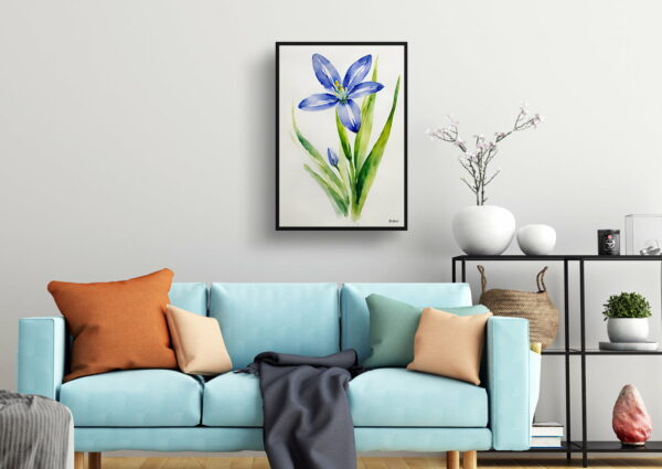 watercolour botanical print flowers scilla bifolia minimalist living room 1