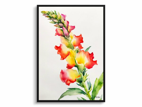 watercolour botanical print flowers snapdragon minimalist front view 1