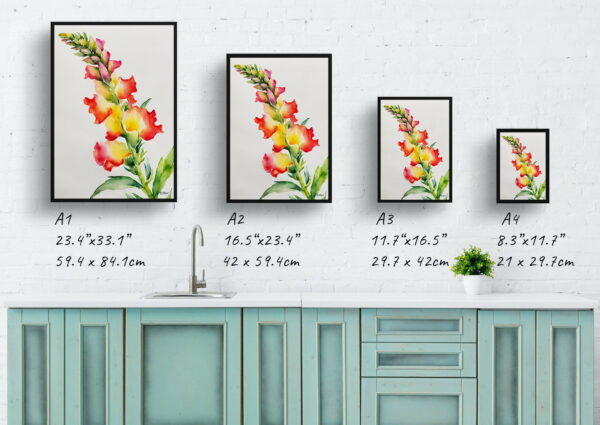 watercolour botanical print flowers snapdragon minimalist print size comparison 1