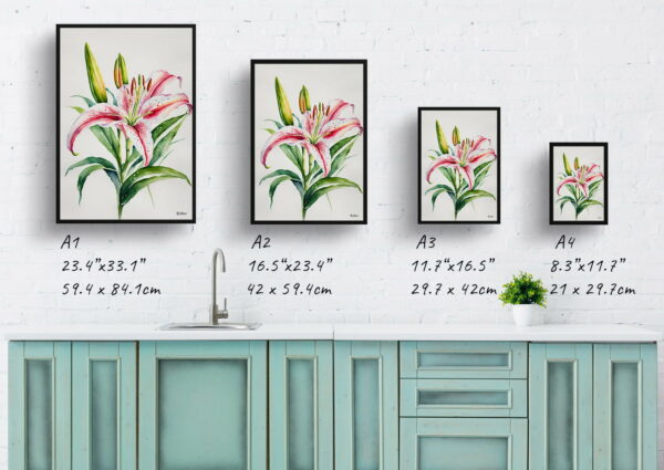 watercolour botanical print flowers stargazer lily minimalist print size comparison 1