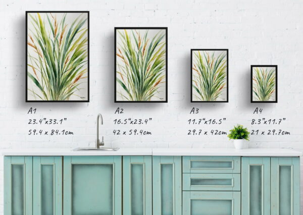 watercolour botanical print flowers stipa ichu peruvian feather grass minimalist print size comparison 1