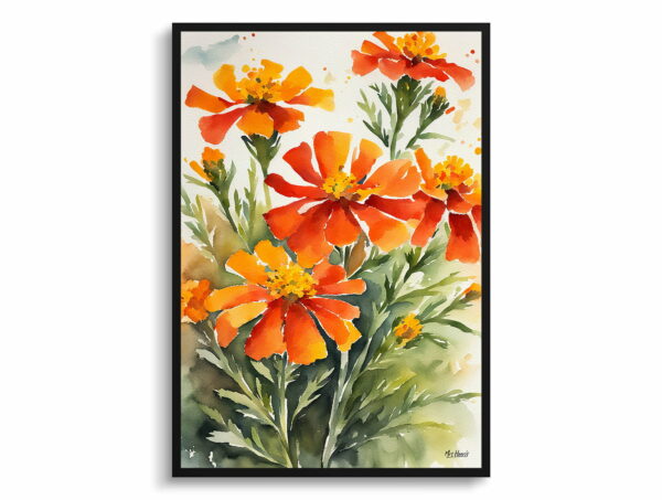 watercolour botanical print flowers tagetes cinnabar front view 1