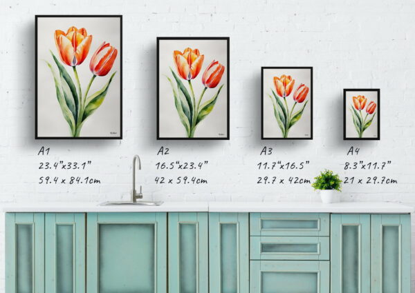 watercolour botanical print flowers tulipa salmon impression minimalist print size comparison 1