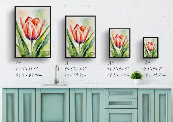 watercolour botanical print flowers tulipa salmon impression print size comparison 1