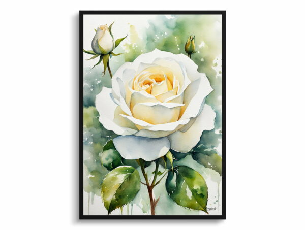 watercolour botanical print flowers white rose front view 1