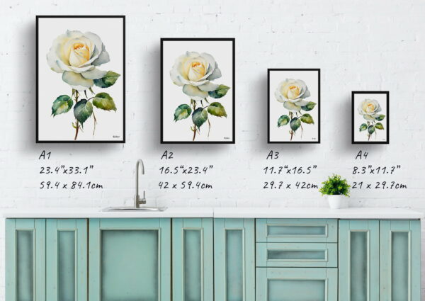 watercolour botanical print flowers white rose minimalist print size comparison 1