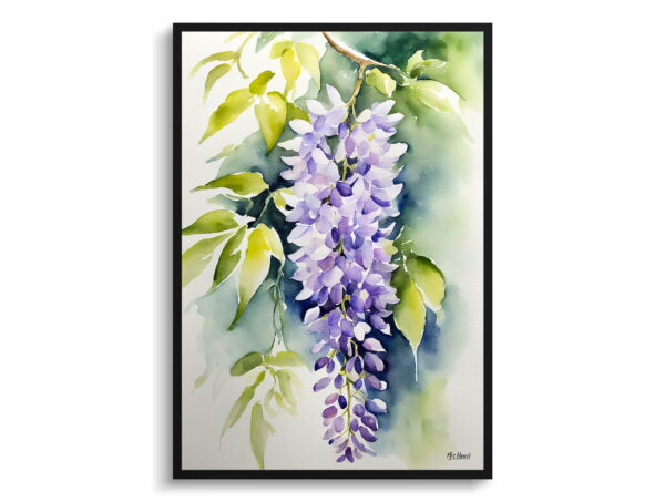 watercolour botanical print flowers wisteria x valderi front view 1