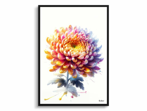 watercolour realist flowers asteraceaechrysanthemum front view 1