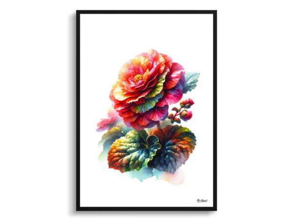 watercolour realist flowers begonia infernobegonia front view 1