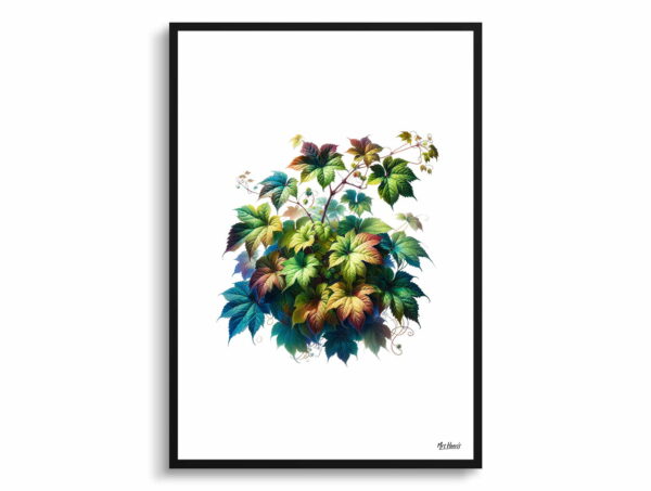 watercolour realist flowers big leaved pepper vineampelopsis megalophylla front view 1