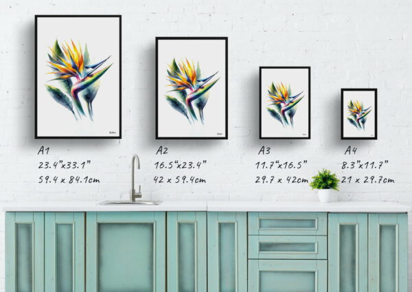 watercolour realist flowers bird of paradisestrelitzia print size comparison 1