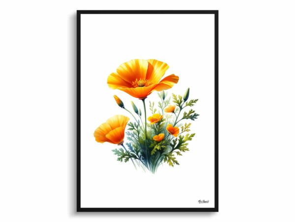 watercolour realist flowers california poppyeschscholzia front view 1