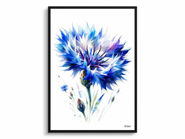 watercolour realist flowers cornflowercentaurea cyanus front view 1