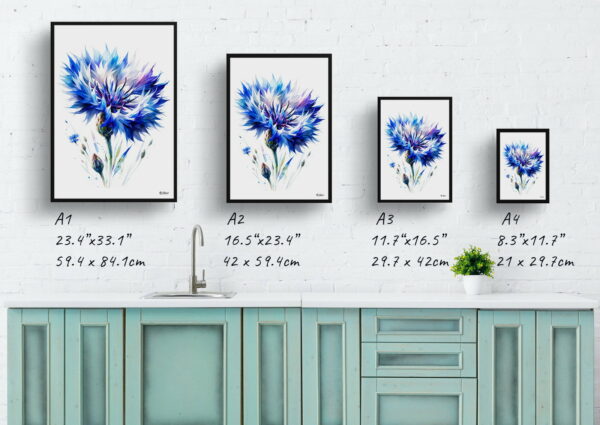 watercolour realist flowers cornflowercentaurea cyanus print size comparison 1