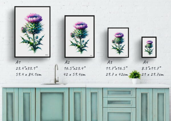 watercolour realist flowers cotton thistleonopordum print size comparison 1