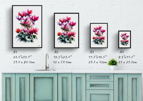 watercolour realist flowers cyclamen persicumcyclamen print size comparison 1