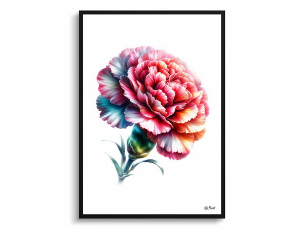 watercolour realist flowers dianthus caryophylluscarnation front view 1