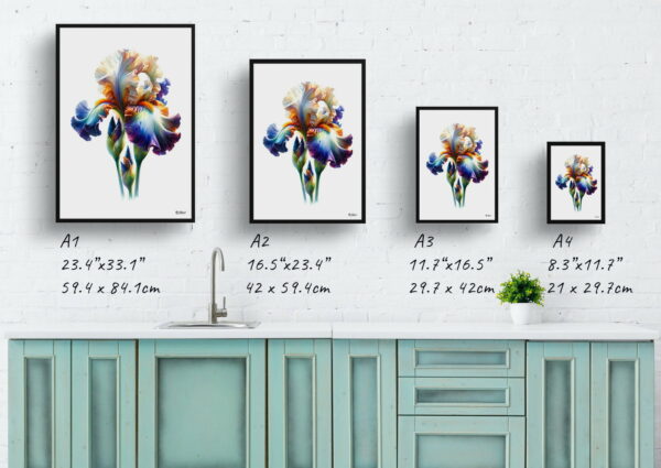 watercolour realist flowers irisfleur de lis print size comparison 1