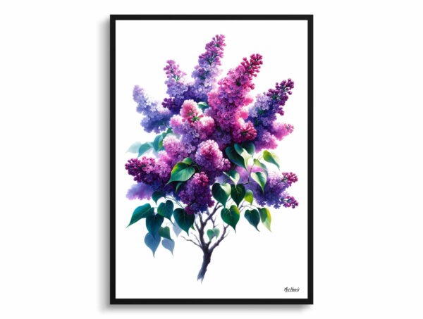 watercolour realist flowers lilacsyringa vulgaris front view