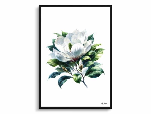 watercolour realist flowers magnoliagrandiflora front view 1