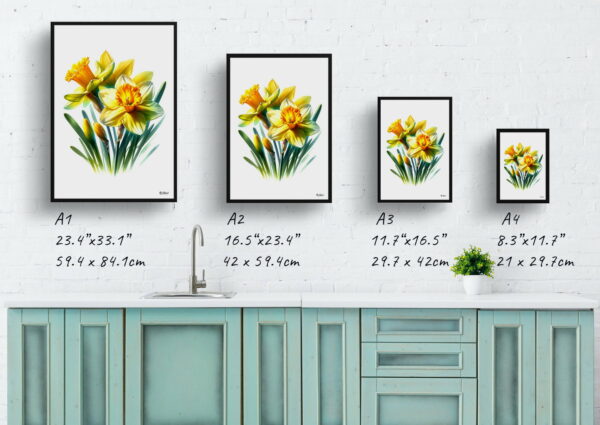 watercolour realist flowers narcissus jonquildaffodil print size comparison 1