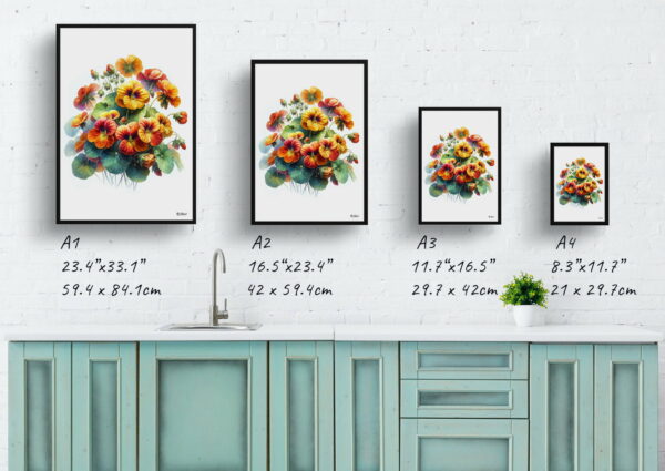 watercolour realist flowers nasturtiumstropaeolum print size comparison 1