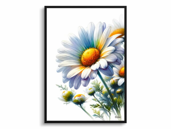 watercolour realist flowers oxeye margueritedaisy front view 1