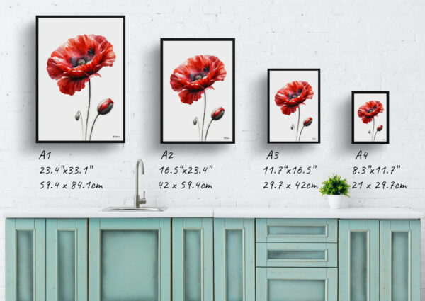 watercolour realist flowers poppypapaver rhoeas print size comparison 1