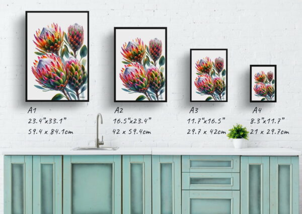 watercolour realist flowers proteassugarbushes print size comparison 1