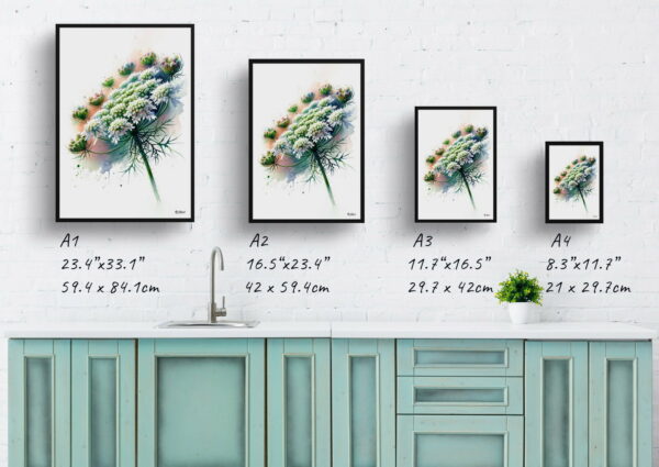 watercolour realist flowers queen annes lacedaucus carota print size comparison 1