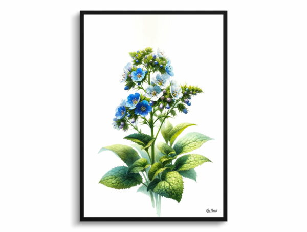 watercolour realist flowers siberian buglossbrunnera macrophylla front view 1