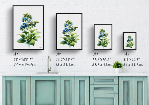 watercolour realist flowers siberian buglossbrunnera macrophylla print size comparison 1