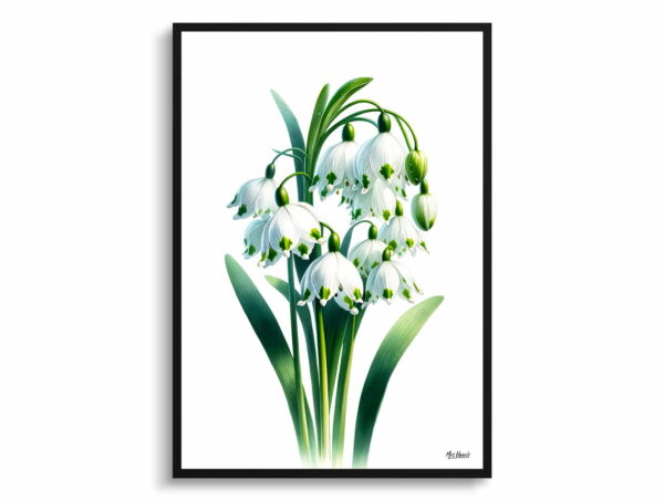 watercolour realist flowers summer snowflakeleucojum aestivum front view 1