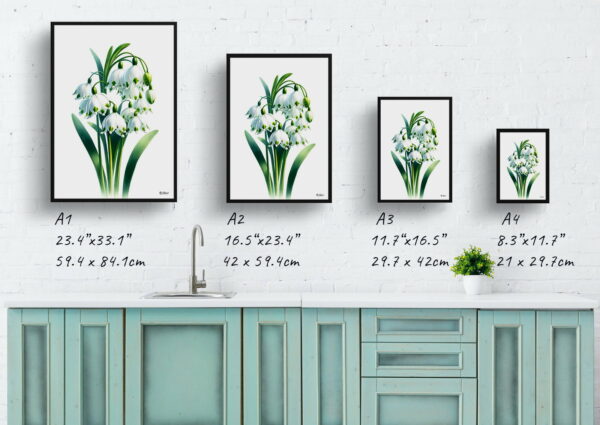 watercolour realist flowers summer snowflakeleucojum aestivum print size comparison 1