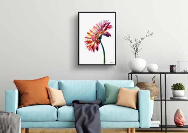 watercolour realist flowers transvaal daisygerbera living room 1