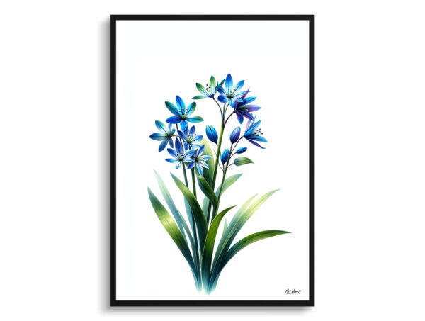 watercolour realist flowers two leaf squillscilla bifolia front view 1