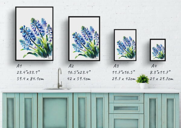 watercolour realist flowers wild hyacinthscamassia leichtlinii print size comparison 1