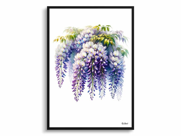 watercolour realist flowers wisteriafabaceae front view 1