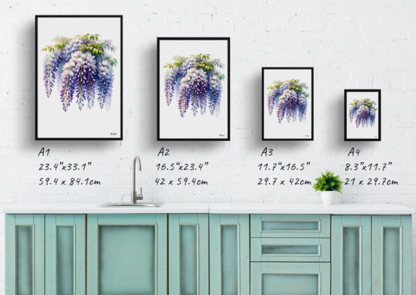 watercolour realist flowers wisteriafabaceae print size comparison 1