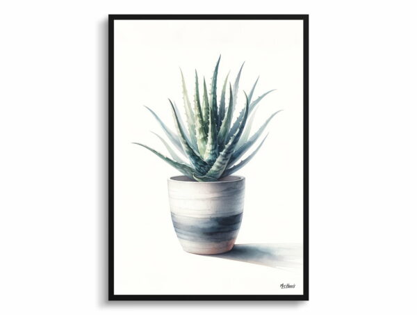 watercolour realist home plants aloe veraaloe barbadensis front view 1