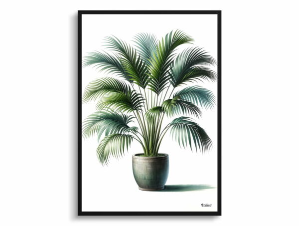 watercolour realist home plants areca palmsdypsis lutescens front view 1